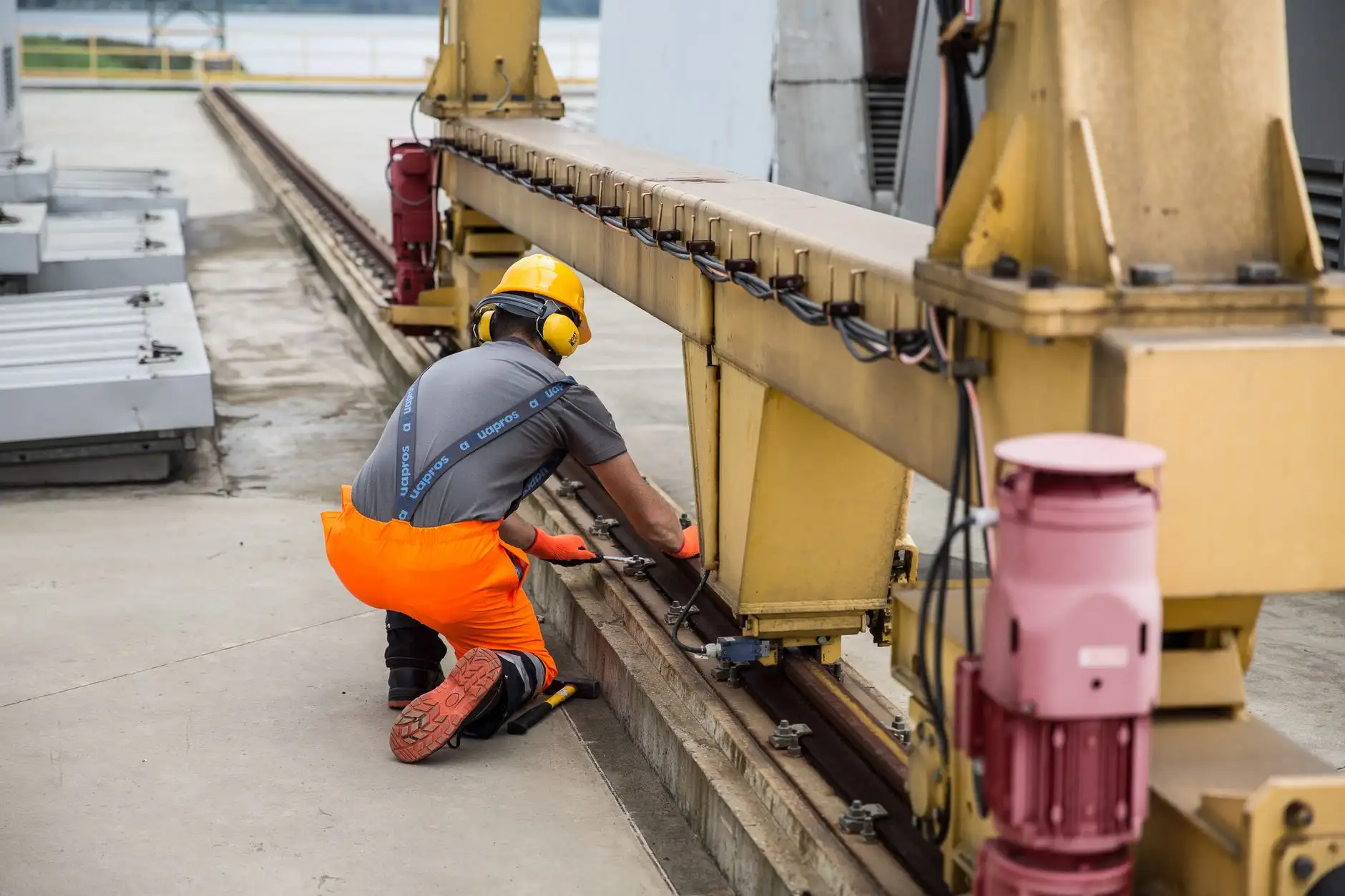 基于客户背景的加拿大留学规划与身份配置方案设计