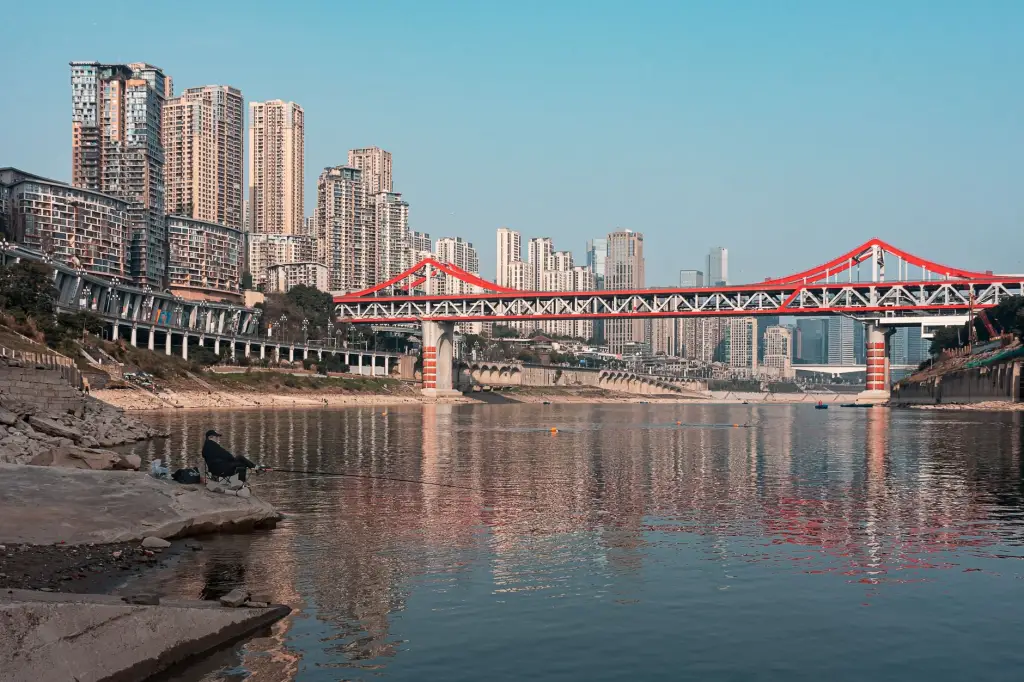 西南地区客户海外置业与移民咨询一体化服务方案设计