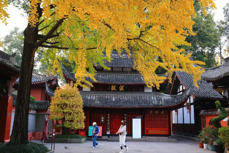 2025加拿大移民政策调整要点及签证办理实务解析正文配图 1