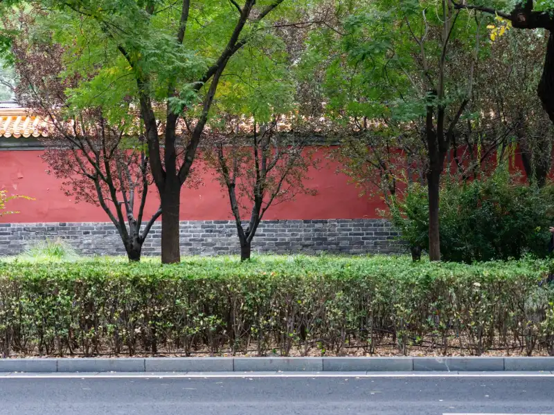 2025加拿大移民政策调整要点及各省提名项目申请趋势分析正文配图 2