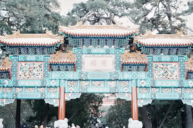 重庆办理加拿大移民签证需要准备哪些材料？专业移民咨询顾问为你梳理全流程